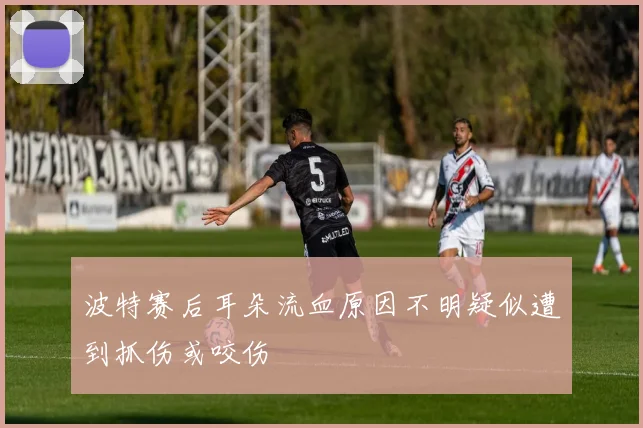 波特赛后耳朵流血原因不明疑似遭到抓伤或咬伤