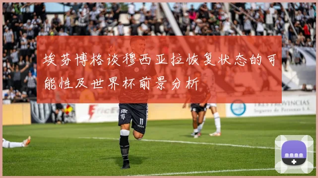 埃芬博格谈穆西亚拉恢复状态的可能性及世界杯前景分析